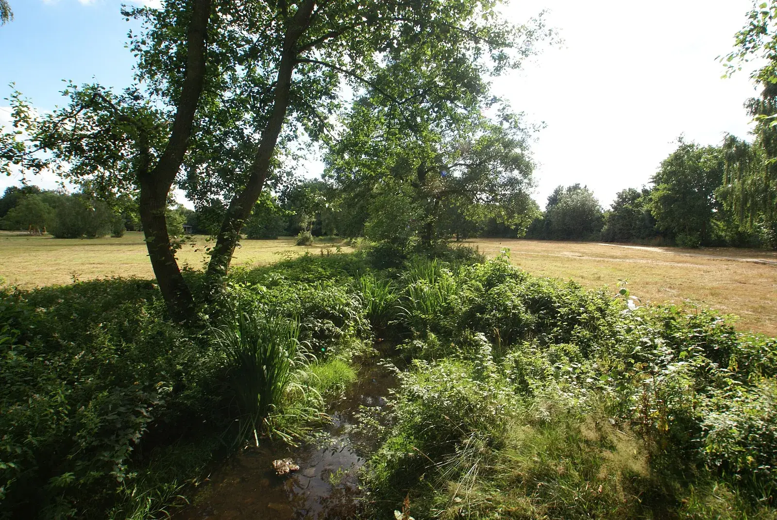 Die Moorbek mit Bäumen und Wiese im Moorbekpark Norderstedt