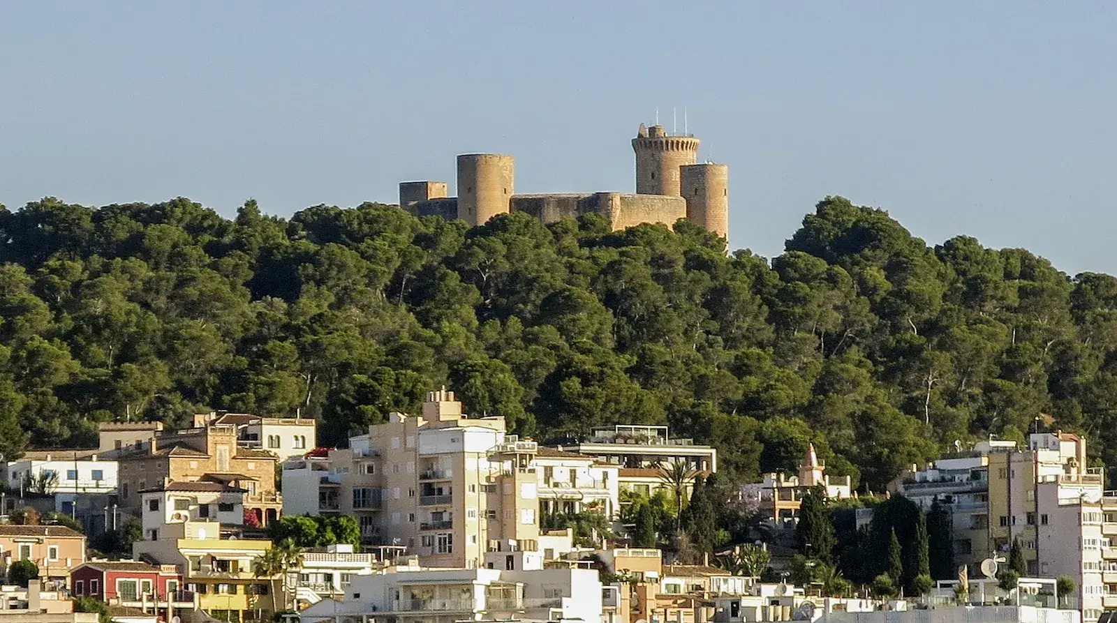 Das runde Castell de Bellver über dem Wald am Burgberg von Palma