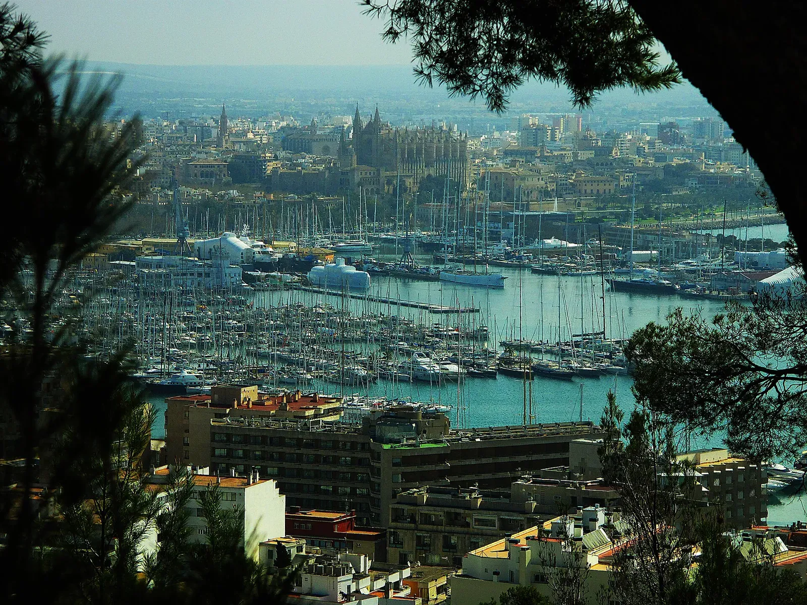 Der Hafen von Palma mit der Kathedrale, an dem die Promenade entlangführt – gesehen vom Castell de Bellver.